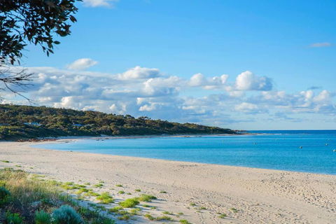 Eagle Bay Summerhaus - Tourism TAS 1