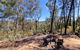 Echidna Ridge By Tiny Away - thumb 1