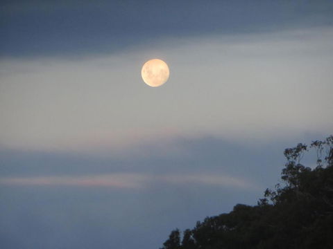 Eildon Parkview Motor Inn Room 9 - Hobart Tourism 2