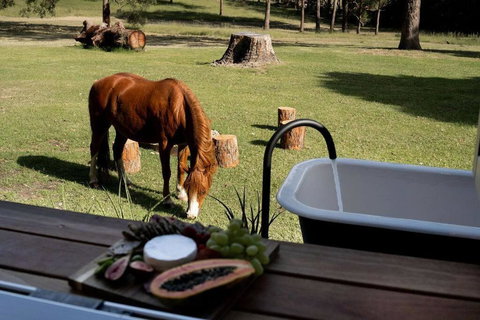 Farm & Sea Studio - Tourism TAS 2