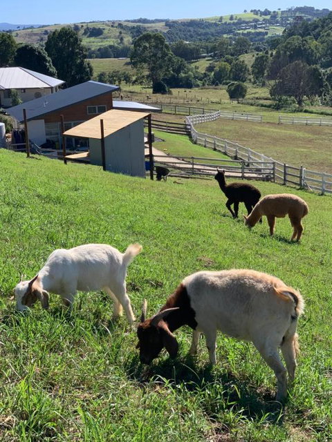 Farm Stay Beautiful Country Home - Tourism TAS 0