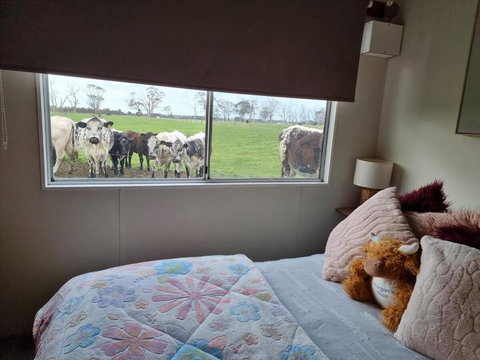 Farmstay - Tourism TAS 1