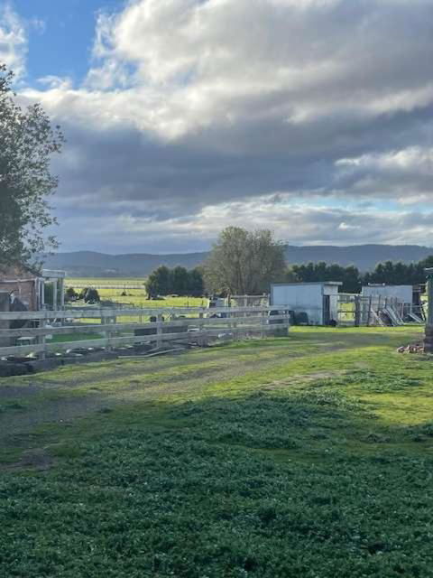 Fassifern Tiny House 1 By Tiny Away - Hobart Tourism 1