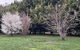 Fassifern Tiny House 2 By Tiny Away - thumb 0