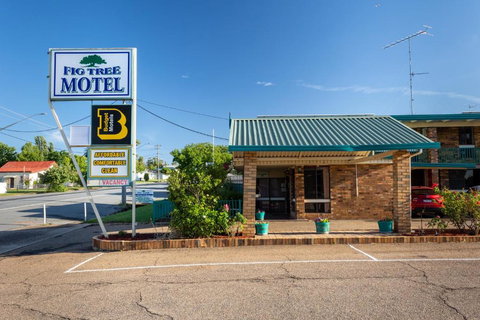 Fig Tree Motel - Tourism TAS 2