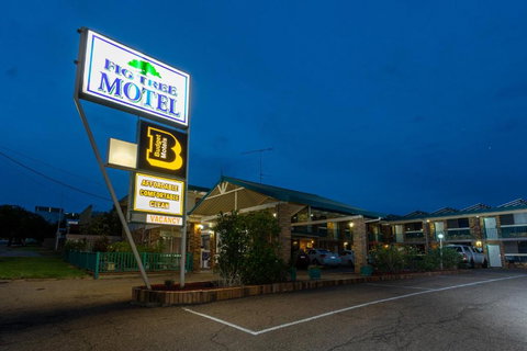Fig Tree Motel - Tourism TAS 0
