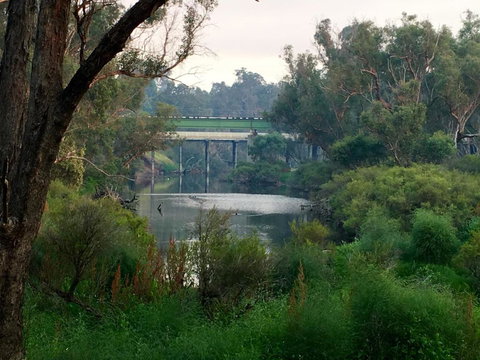 Ford House Bed & Breakfast - Tourism TAS 4