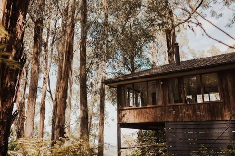 Forest Retreat - Tourism TAS 0