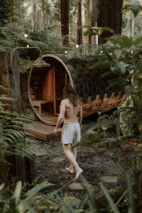 Forest Retreat - Tourism TAS 3