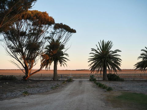 Forgo Tten Paddock - Hobart Tourism 2