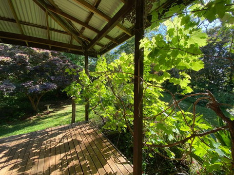 Freida - Historic Farmhouse Bellingen - Tourism TAS 1