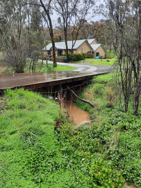 Frogmouth Hollow - Hobart Tourism 4