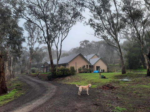Frogmouth Hollow - Hobart Tourism 0