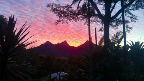 Fun Times - Tourism TAS 0