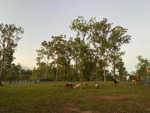 Gemmas Animal Farm By Tiny Away - Hobart Tourism 1
