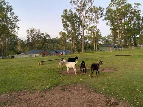 Gemmas Animal Farm By Tiny Away - Hobart Tourism 2
