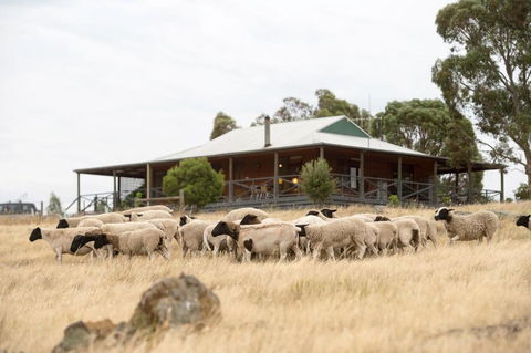Gilgraves Vineyard Farmstay - Hobart Tourism 0