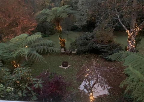 Green Forrest Cottage - Hobart Tourism 1