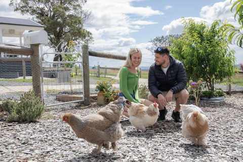 Gumnut Cottage Gippsland - Tiny Romantic Escape W King Bed Mountain Views - Hobart Tourism 3