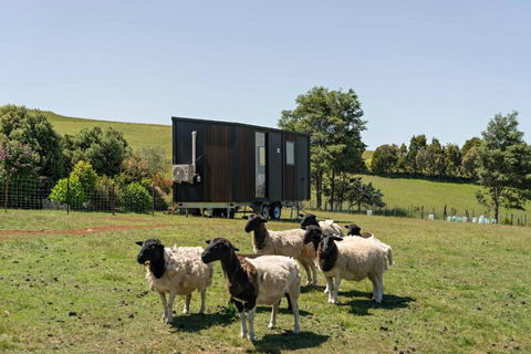 Hillside Hideout By Tiny Away - Hobart Tourism 2