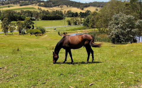 Honeycomb Hill Of Yarra Valley - Tourism TAS 3