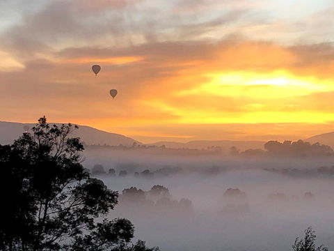 Honeycomb Hill Of Yarra Valley - Tourism TAS 1