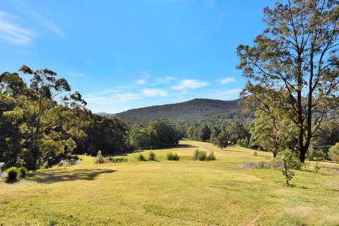 Hunter Valley Kangaroo Retreat With 60 Kangaroos - Hobart Tourism 1