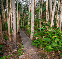 Agnes Palms Accommodation - Hobart Tourism
