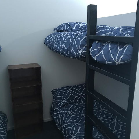 Alpina - Tourism TAS 2