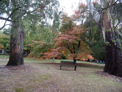 Alpine Park Riverside Cottages - Tourism TAS 2