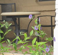 Amalie Cottage Waikerie - Hobart Tourism