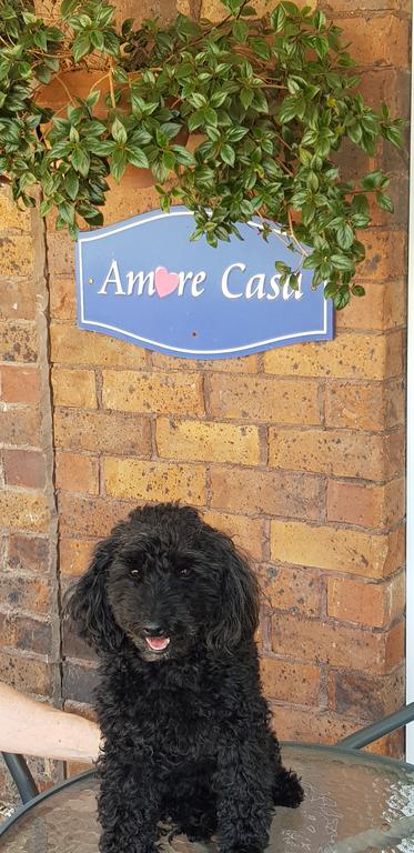 Amore Casa Tenterfield - Hobart Tourism 2