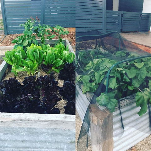 AMs Farm Stay - Tourism TAS 3