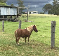 AMs Farm Stay - Hobart Tourism