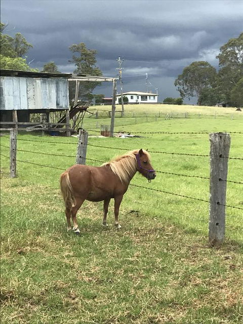 AMs Farm Stay - Tourism TAS 0