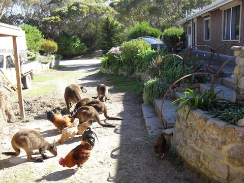 Anchorage Apartments - Tourism TAS 0