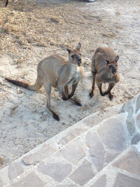 Anchorage Apartments - Tourism TAS 1