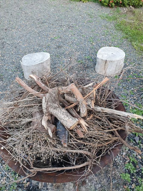 Angaston By The Winter Creek - Hobart Tourism 3