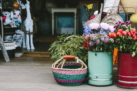 Angel Sussurri - Tourism TAS 3