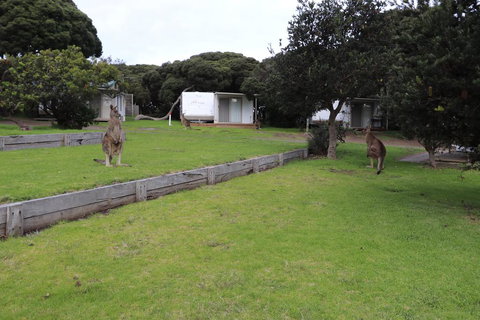 Anglesea Family Caravan Park - Tourism TAS 3