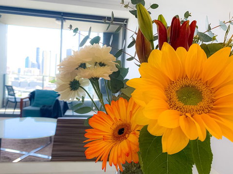 Apartments On Connor - Tourism TAS 3