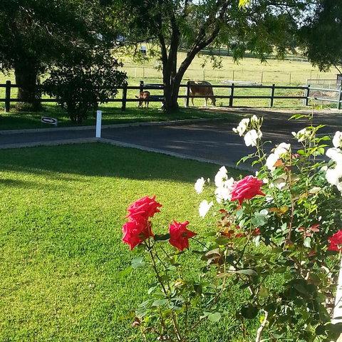 Appin Homestay B & B - Tourism TAS 3