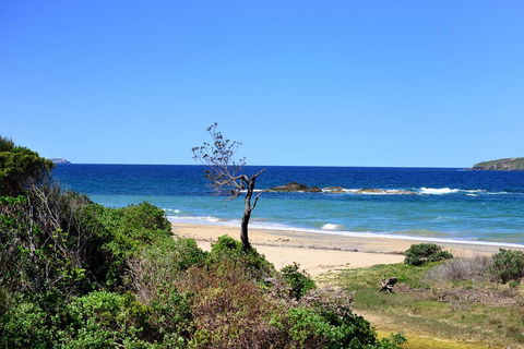 Aqualuna Beach Resort - Unit 25 - Hobart Tourism 3