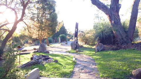 Aquila Eco Lodges - Tourism TAS 3