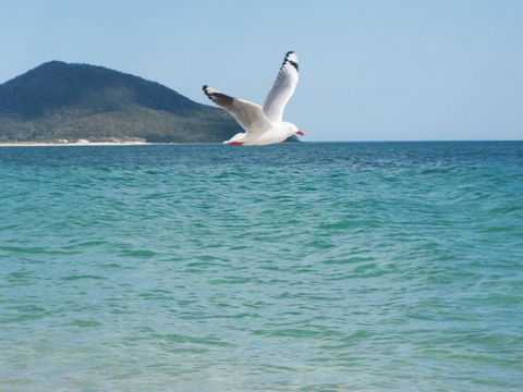 Architectural Design On The Beach - Hobart Tourism 1