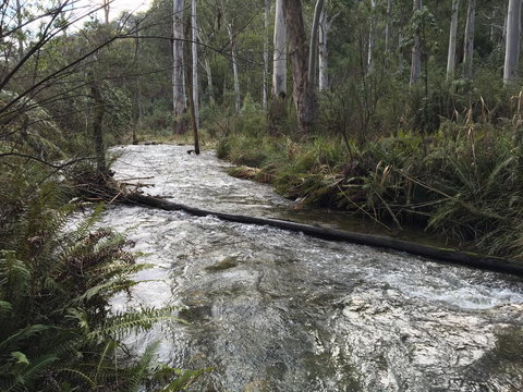 Ariane - Tourism TAS 3