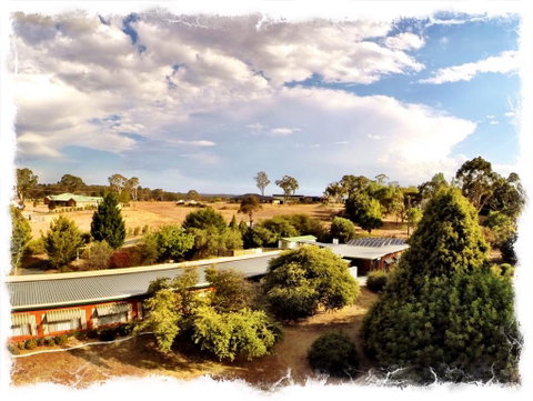 Armidale Rose Villa Motel - Tourism TAS 1