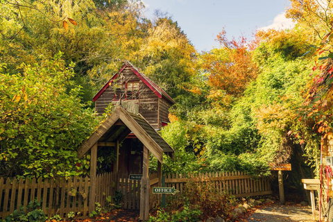 Arnica Views Summit Retreat - Tourism TAS 1