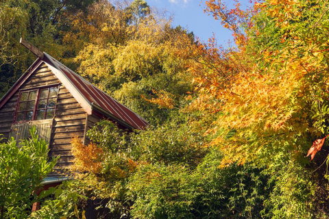 Arnica Views Summit Retreat - Tourism TAS 2