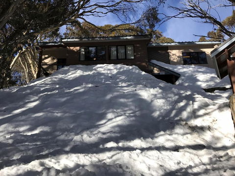 MAGNIFICENT SKIING ON MOUNT BULLER - Tourism TAS 1